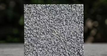 山东 芝麻黑荔枝面