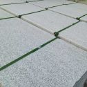 山东 芝麻白斧剁面