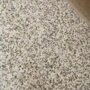 山东 黄金麻中黄光面