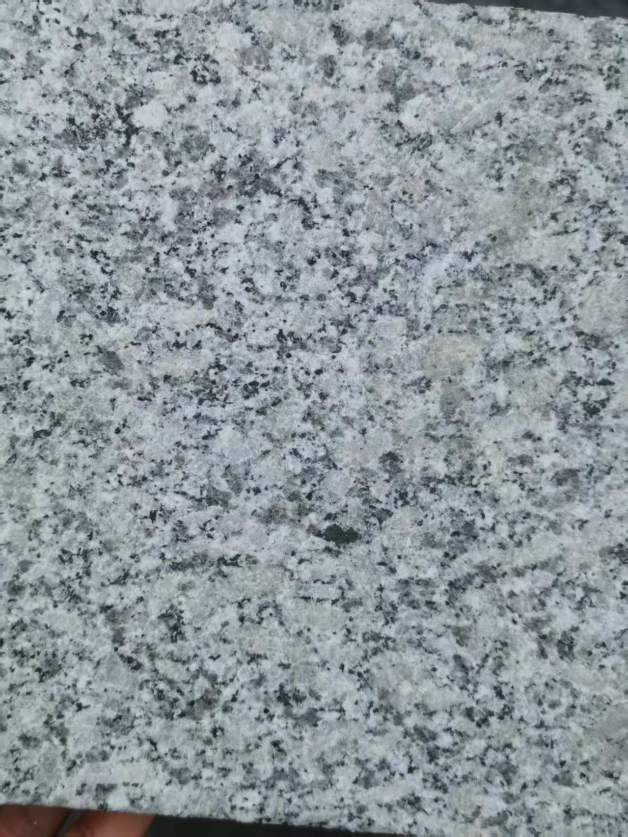 山东 芙蓉白火烧面